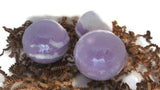 Bath Bomb Fizzy  Bath Ball Fizzy - Fresco Soaps n' Stuff